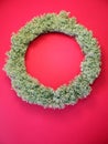 Moss wreath Royalty Free Stock Photo