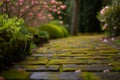 mosscovered bricks on a path with outoffocus blooming bushes Royalty Free Stock Photo