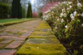 mosscovered bricks on a path with outoffocus blooming bushes Royalty Free Stock Photo