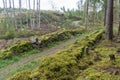 Mossy dry stone walls surrounding a country road in the woods