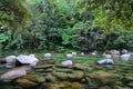 Mossman Gorge Royalty Free Stock Photo