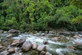 Mossman Gorge Royalty Free Stock Photo