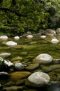 Mossman Gorge Royalty Free Stock Photo