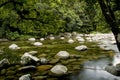 Mossman Gorge Royalty Free Stock Photo