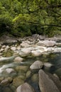 Mossman Gorge