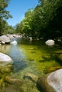 Mossman Gorge