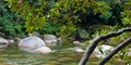 Mossman Gorge, Daintree National Park Royalty Free Stock Photo