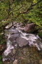 Mossman Gorge Royalty Free Stock Photo