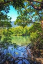 Mossman Gorge, Daintree National Park Royalty Free Stock Photo