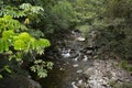 Mossman River and Lookout in rural rainforest at Mossman Gorge National Park Daintree Region Queensland Australia. Royalty Free Stock Photo