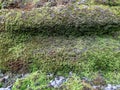 Mossy ancient stone wall texture