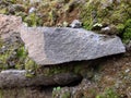 Mossy ancient stone wall texture