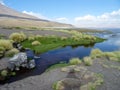 Mossy beach on the background of mountains under blue sky