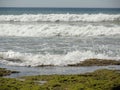 Mossy beach with foamy waves on a sunny day