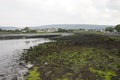 Mossy Beach in Ireland