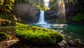 Mossy boulder in foreground of a powerful waterfall and sunlit forest pool nature Royalty Free Stock Photo