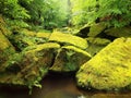 Mossy boulders in water under fresh green trees at mountain river Royalty Free Stock Photo