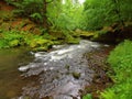 Mossy boulders in water under fresh green trees at mountain river Royalty Free Stock Photo