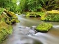 Mossy boulders in water under fresh green trees at mountain river Royalty Free Stock Photo