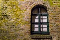 Mossy brick wall with a old wooden window frame behind bars, historical architecture background Royalty Free Stock Photo