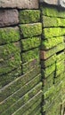 Mossy bricks