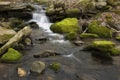 Mossy brook at the Belding Preserve in Vernon, Connecticut