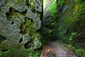 Mossy canyon in Alabama