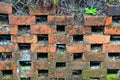 Mossy Clay Brick Wall