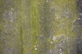 Mossy concrete wall background texture. Royalty Free Stock Photo