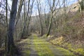 Mossy country road in sunny day.