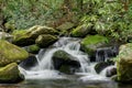 Mossy creek cascade waterfall