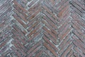 Mossy diagonal pattern of brick pavement in a herringbone style for background,