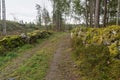 Mossy dry stone walls by a country road in the woods