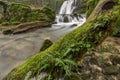 Mossy Fallen Tree Branch With Waterfall. Royalty Free Stock Photo