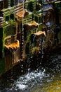 Mossy fountain
