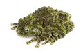 Mossy Frog, Theloderma corticale