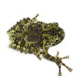 Mossy Frog, Theloderma corticale Royalty Free Stock Photo