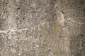 Mossy gray rough concrete wall texture Royalty Free Stock Photo
