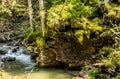 Mossy green cliff over a mountain river