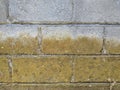 Mossy grey brick wall texture background