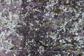 Mossy grey stone texture photo. Natural stone background. Weathered rock relief. Old building stone wall