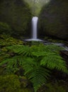 Mossy Grotto Falls at Columbia River Gorge