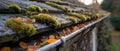 Mossy Gutters Needing Maintenance. Concept Gutter Cleaning, Moss Removal, Home Maintenance, DIY