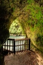 Tutea`s cave, Okere Falls, New Zealand Royalty Free Stock Photo