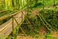 Mossy ladder and bridge in ravine Chudo-Krasotka, Sochi, Russia Royalty Free Stock Photo