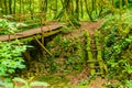 Mossy ladder and bridge in ravine Chudo-Krasotka, Sochi, Russia Royalty Free Stock Photo