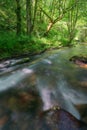 Mossy logs float in the current of a stream