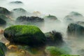 Mossy ocean rocks in mist