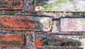 Mossy Brick wall background Royalty Free Stock Photo