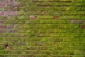 Mossy Red Brick Outdoor Wall Royalty Free Stock Photo
